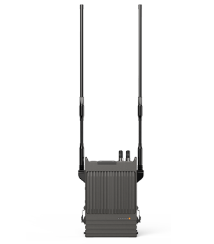 Dual frequency digital AD hoc network